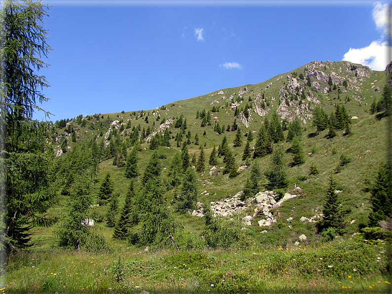 foto Trodo dei Fiori